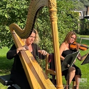 DuoViolin-Harp